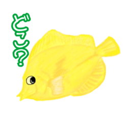 Draw the aquarium with colored pencil 1 sticker #6050149