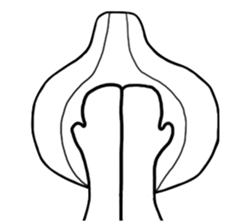 Garlic Hero sticker #6053745