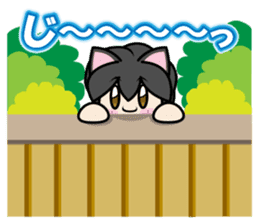 Kaka-puu sticker #6055916