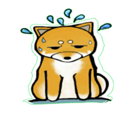 A Shiba dog RUPPETAN. sticker #6061264