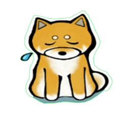 A Shiba dog RUPPETAN. sticker #6061265