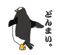 penguins!!!!! sticker #6062018