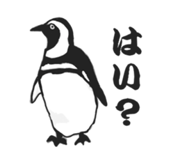penguins!!!!! sticker #6062022