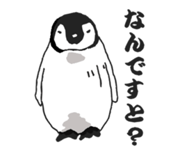 penguins!!!!! sticker #6062023