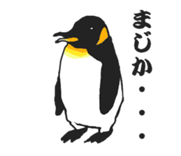 penguins!!!!! sticker #6062024