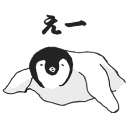 penguins!!!!! sticker #6062026