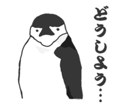 penguins!!!!! sticker #6062027