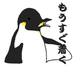 penguins!!!!! sticker #6062039