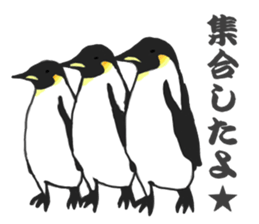 penguins!!!!! sticker #6062040