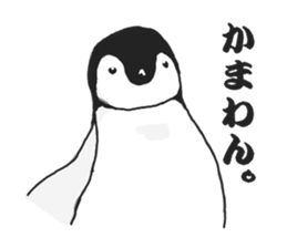 penguins!!!!! sticker #6062042