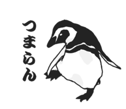 penguins!!!!! sticker #6062043