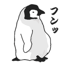 penguins!!!!! sticker #6062045
