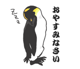penguins!!!!! sticker #6062053