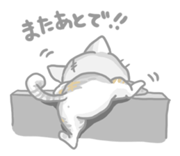 "Peco" of the cat sticker #6063066