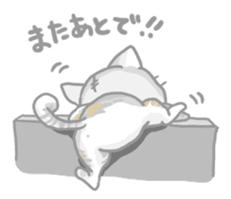 "Peco" of the cat sticker #6063066