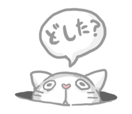 "Peco" of the cat sticker #6063067