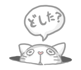"Peco" of the cat sticker #6063067