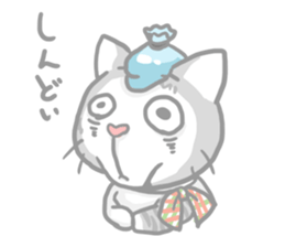"Peco" of the cat sticker #6063068