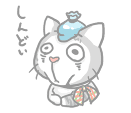 "Peco" of the cat sticker #6063068