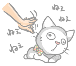 "Peco" of the cat sticker #6063083