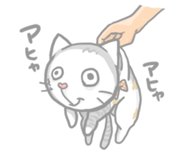 "Peco" of the cat sticker #6063087