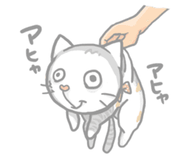 "Peco" of the cat sticker #6063087