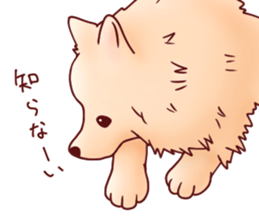 Dog!Dog!!Dog!!!3 sticker #6063382