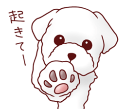 Dog!Dog!!Dog!!!3 sticker #6063386