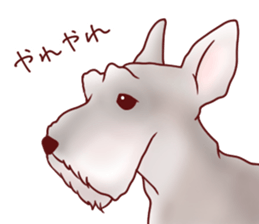 Dog!Dog!!Dog!!!3 sticker #6063391