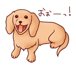 Dog!Dog!!Dog!!!3 sticker #6063392
