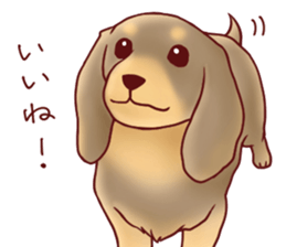 Dog!Dog!!Dog!!!3 sticker #6063393