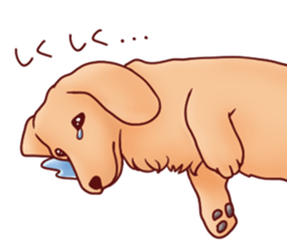 Dog!Dog!!Dog!!!3 sticker #6063394