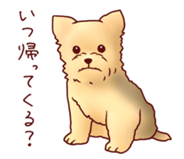 Dog!Dog!!Dog!!!3 sticker #6063396