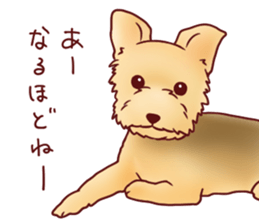 Dog!Dog!!Dog!!!3 sticker #6063397