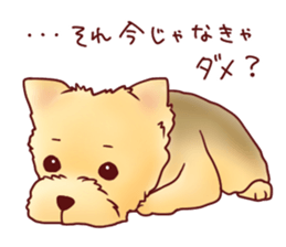 Dog!Dog!!Dog!!!3 sticker #6063399