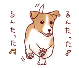Dog!Dog!!Dog!!!3 sticker #6063400