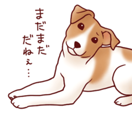 Dog!Dog!!Dog!!!3 sticker #6063401