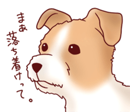 Dog!Dog!!Dog!!!3 sticker #6063403