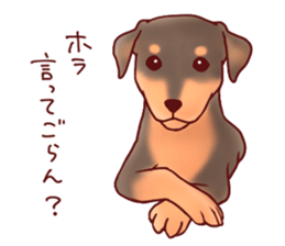 Dog!Dog!!Dog!!!3 sticker #6063404