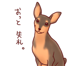 Dog!Dog!!Dog!!!3 sticker #6063405