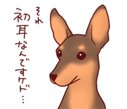 Dog!Dog!!Dog!!!3 sticker #6063406