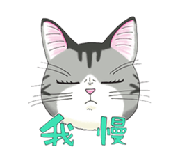 POKOPOKO-Cats sticker #6063785