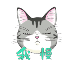 POKOPOKO-Cats sticker #6063785