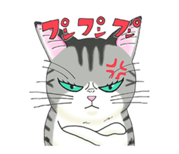 POKOPOKO-Cats sticker #6063787