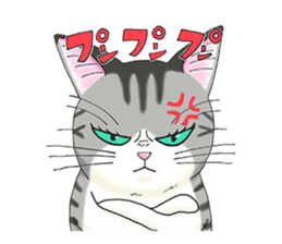 POKOPOKO-Cats sticker #6063787