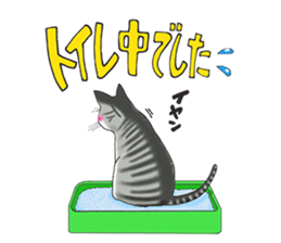 POKOPOKO-Cats sticker #6063788