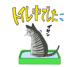 POKOPOKO-Cats sticker #6063788