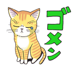POKOPOKO-Cats sticker #6063791