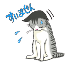 POKOPOKO-Cats sticker #6063792