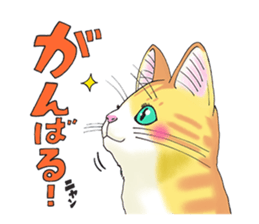 POKOPOKO-Cats sticker #6063798